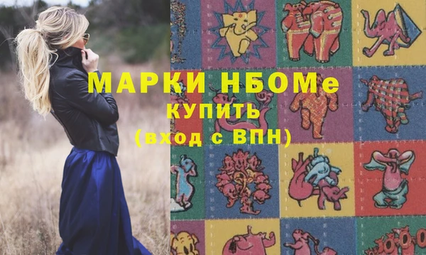 ПСИЛОЦИБИНОВЫЕ ГРИБЫ Рославль