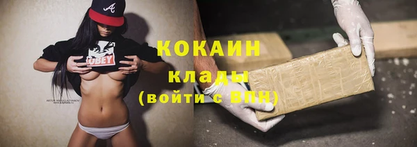 ПСИЛОЦИБИНОВЫЕ ГРИБЫ Рославль