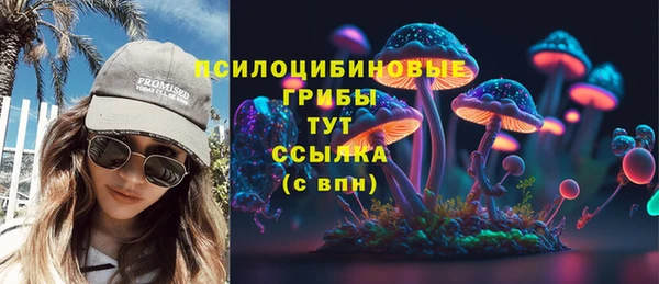 СК Арсеньев